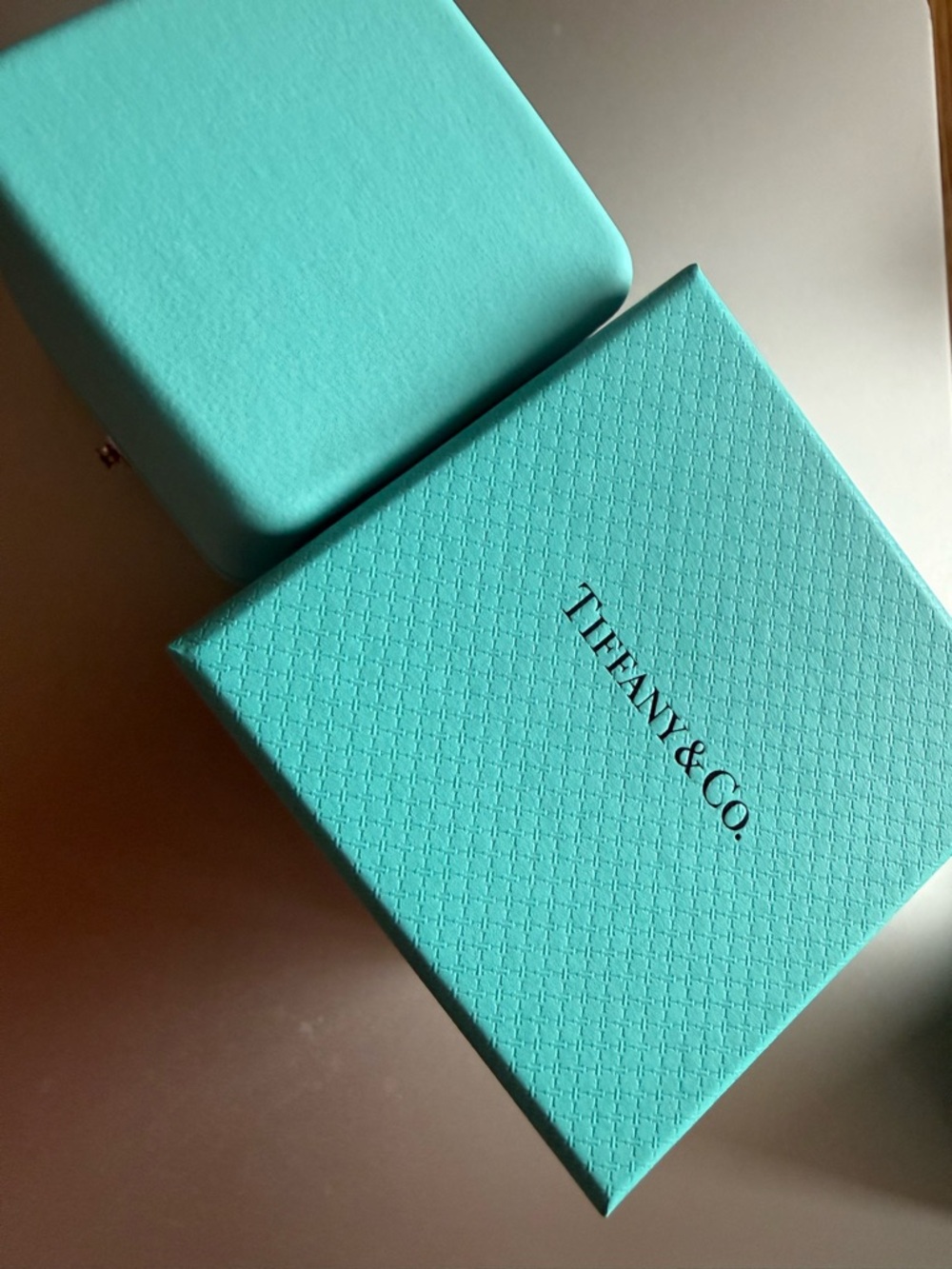 Tiffany & Co. Signature Robin's Egg Blue Jewelry Boxes